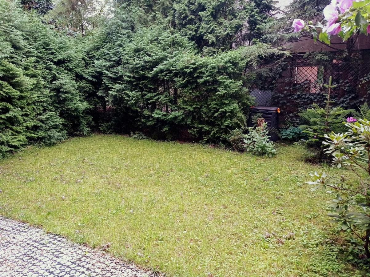 Apartament Secesja كراكوفيا المظهر الخارجي الصورة